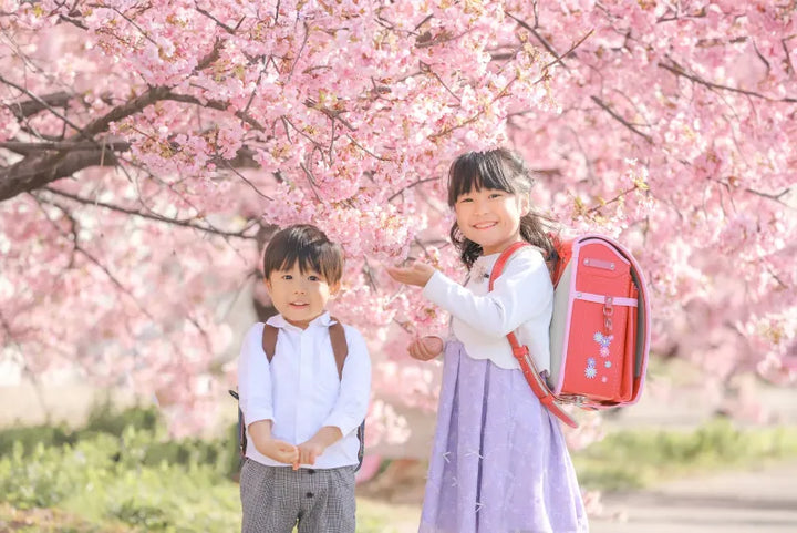Japanese Elementary School Entrance Ceremony: A Special Day with Randoseru and Cherry Blossoms