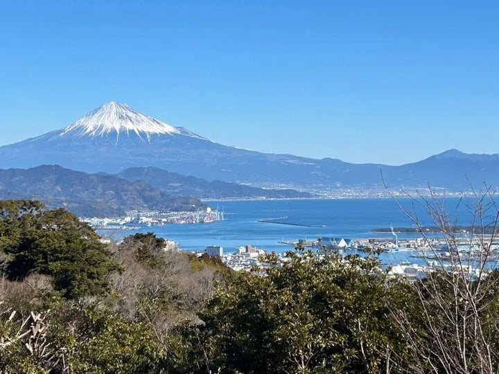 Mount Fuji from Shizuoka: Views, Meanings, and What “San” Really Means